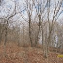 탑골목장 이미지