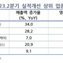 시현중기