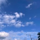 (주)서동메디칼 이미지