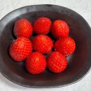 미조사 | [공지] 성북동 편집숍 굿모닝 제너럴 스토어 비로소 마켓 방문 후기