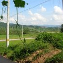 서영축산 이미지