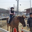 가평 초등학교 이미지
