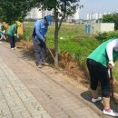 온양3동 모종로 이미지