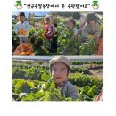 정언농장 이미지