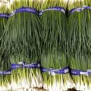 홍보농장 이미지