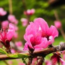 용문산 관광지 이미지