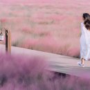 어느 소녀의 사랑 이야기 - 연주곡 이미지