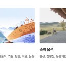 알프스마을민박 이미지