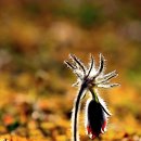 상서초교 이미지