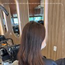 순수 세종그린점 네이버블로그