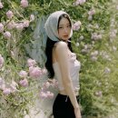 경리 카카오 검색결과