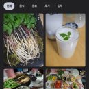 [당근마켓] 천년새싹 고객님들 후기입니다 :D