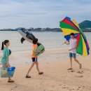 청춘 P.T 이미지