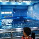 울산광역시남구도시관리공단(장생포고래생태체험관) 이미지