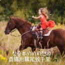 🪰 창승부기미치천리   蒼蠅附驥尾致千里 🐎 이미지