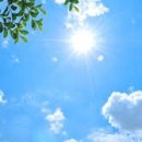 햇빛 이미지