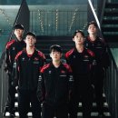 돼지건재종합 이미지