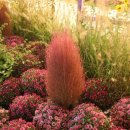 나드리마트 | [천안] 노인용 전동스쿠터 '나드리210'배송후기