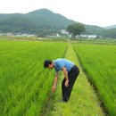 충주시농협쌀조합공동사업법인 이미지