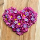 하이델베르그 이미지