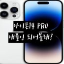 디자인옐로우