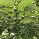 인산주유소 화장실 | 220803 김부선, 김건희 '학위논문 논란' 난타