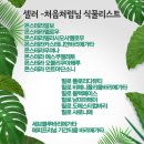 그린샵 이미지