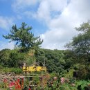 제주 서쪽 이미지