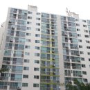 진흥 에이스 이미지