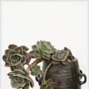 파랑새농장 이미지