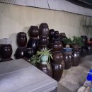 김용환행정사사무소 이미지