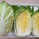 괴산-1 이미지