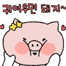 홈사리 이미지