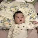 파리바게뜨헬리오시티책박물관점 이미지