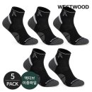 웨스트우드 이미지