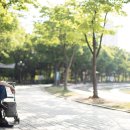 평촌중앙공원 입구 이미지