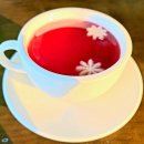 금강행정사 사무소 이미지