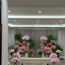 Wedding. 웨스틴조선 서울 그랜드볼룸 결혼식 후기 [은하수 웨딩]