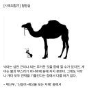 오늘의 小史 이미지