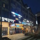 평창 알펜시아 맛집 근처 대관령 바우골 평창고기집