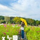 한탄강 유람 이미지