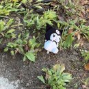 (주)원더스쿼드 | 11월 올해의 마무리🤓(with.원더리벳, 엑디즈)