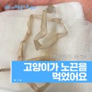 서울든든동물병원 이미지