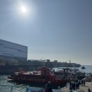 새댁쭈꾸미 | 251116 인천 쭈꾸미 배낚시 수양호