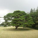 11650-16-95-11 | 망우역사문화공원 인물열전 - 아사카와 다쿠미 80. 95