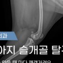 고성동물병원 이미지