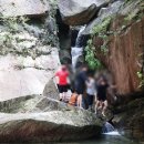 빼뻘버스정류장 이미지