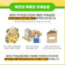 대학찰옥수수권역마을 | 옥수수, 세 개의 시대를 걷다: 초당옥수수, 대학찰옥수수의 유산, 고난의 행군(Feat. 옥수수 맛있게...