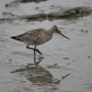 황새가족과 황새알 이미지