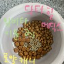달달이네 | [후기] 달달이네 임비타 공구 후기
